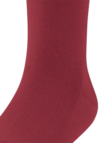 FALKE Socks 'Family' in Red
