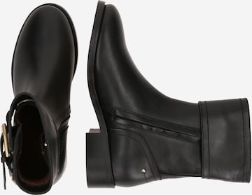 Vanessa Bruno Ankle Boots in Black