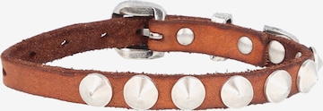 Campomaggi Armband in Braun
