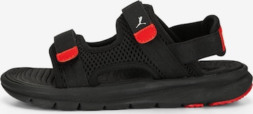 PUMA Sandals & Slippers 'Evolve' in Black: front