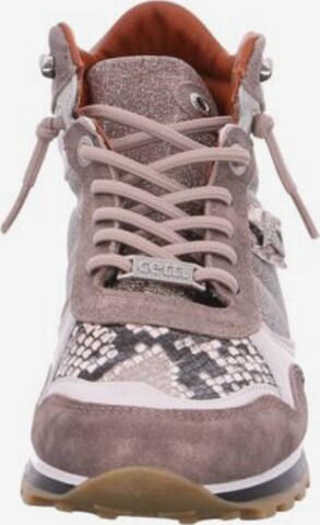 Cetti High-Top Sneakers in Mixed colors