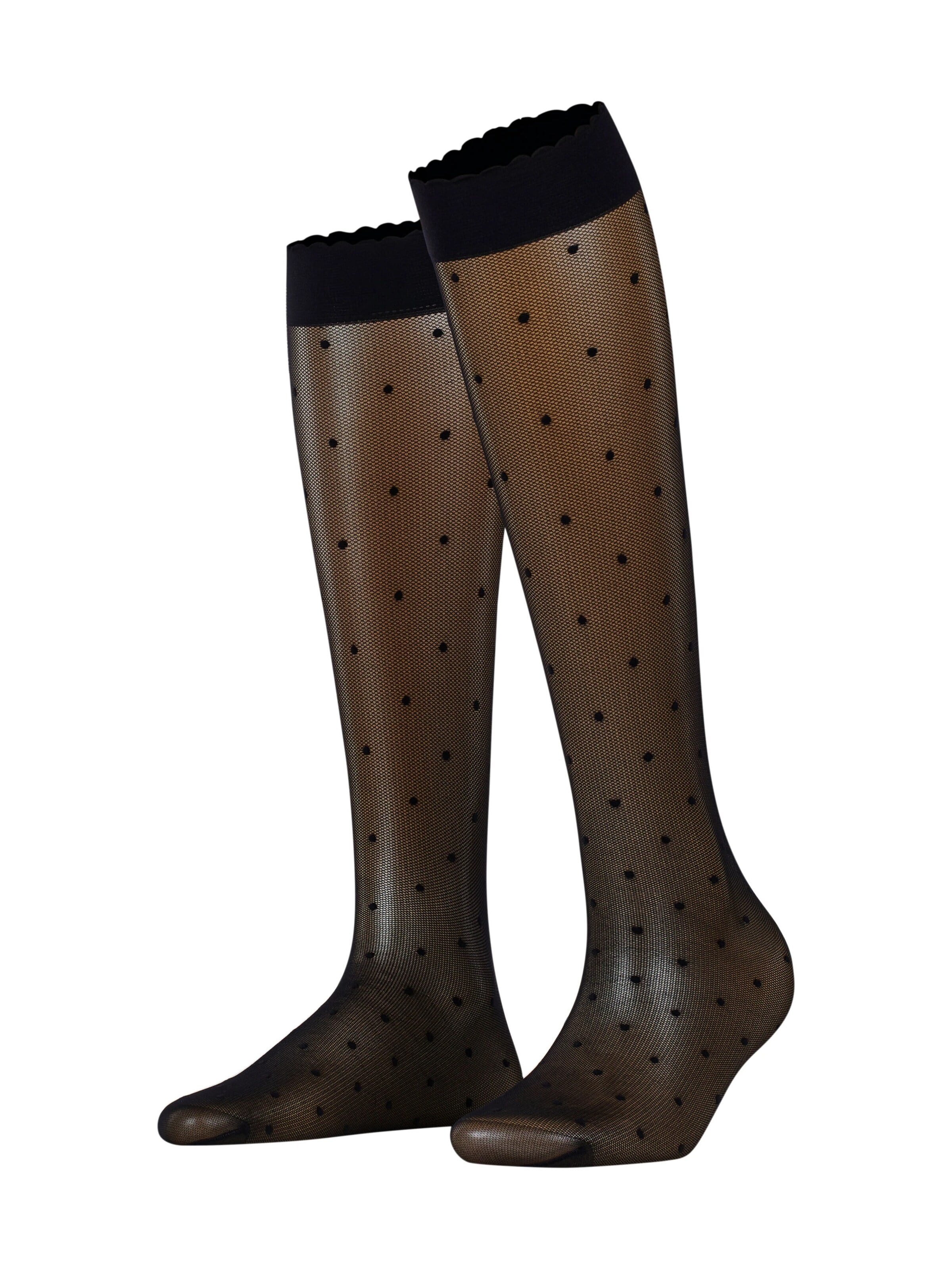 FALKE Over the Knee Socks 'Dot' in Black: front