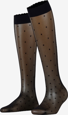 FALKE Over the Knee Socks 'Dot' in Black: front