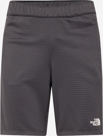 THE NORTH FACE Regular Sports trousers in Grey: front
