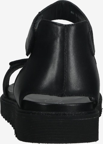 ARA Strap Sandals in Black