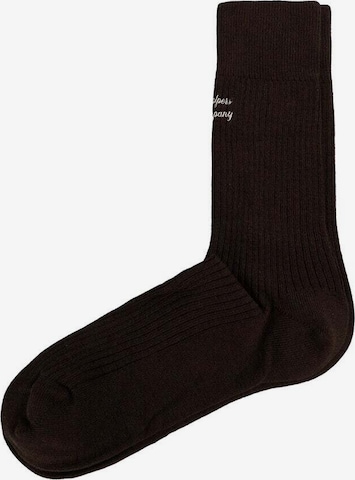 Scalpers Sukat 'Scalpers' värissä ruskea: etupuoli