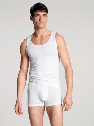 CALIDA Boxer shorts 'Focus' in White