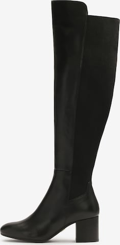 juoda Kazar Auliniai: priekis