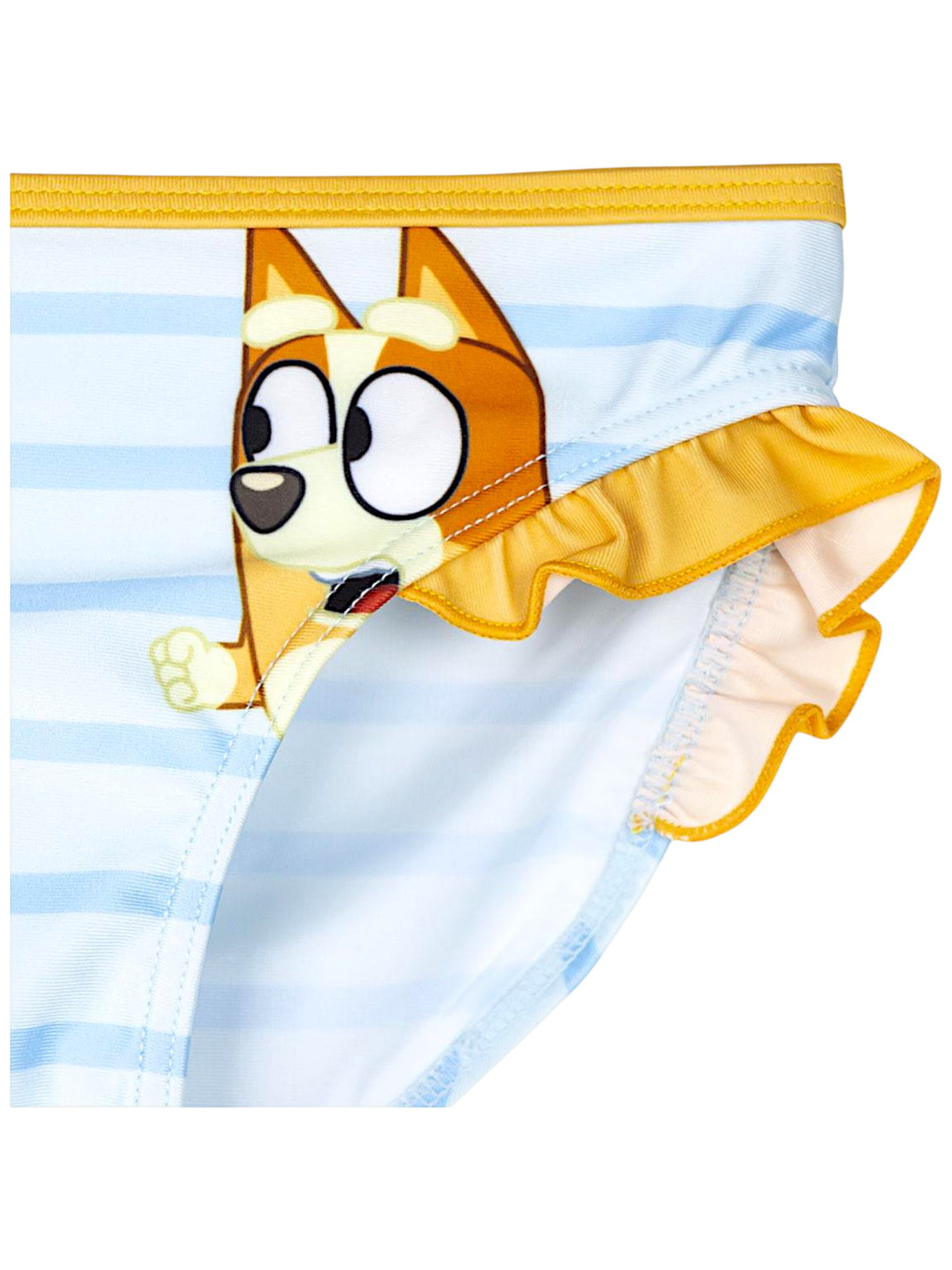 Bluey Bikini 'Bluey & Bingo' in Blue