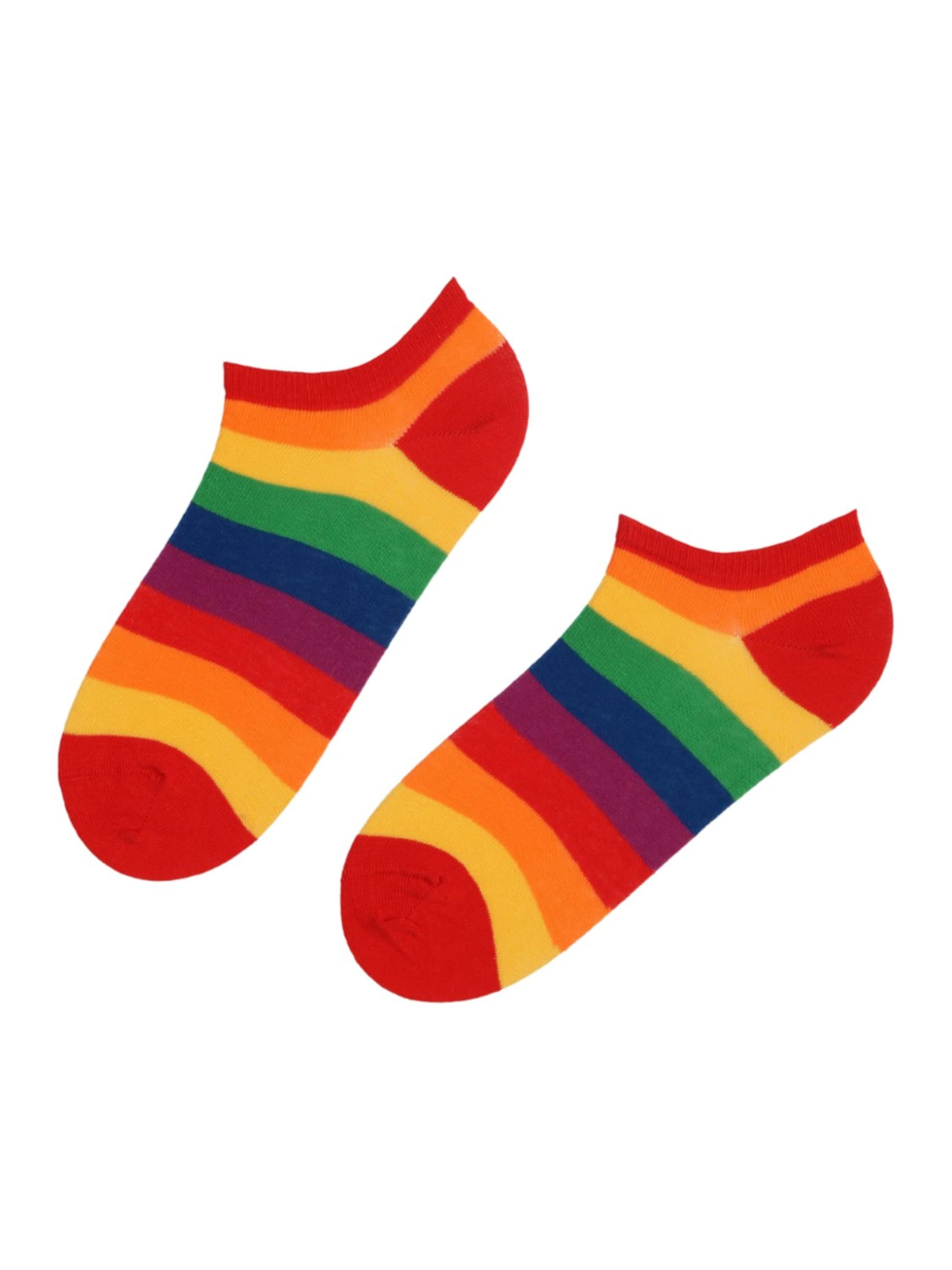 Sokisahtel Socks 'Pride' in Mixed colours: front