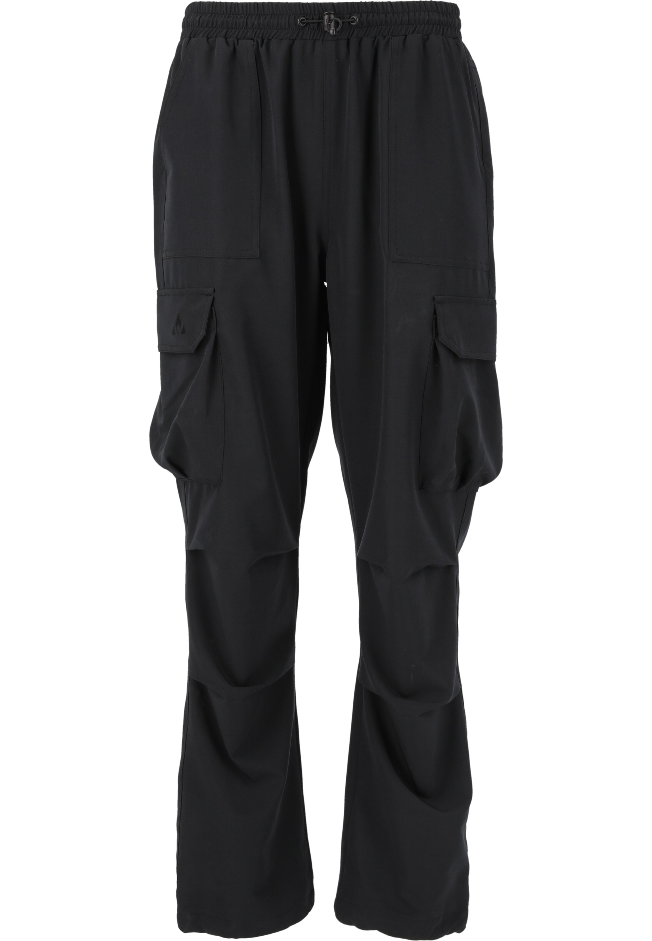 Whistler Regular Cargo trousers 'Russet' in Black: front