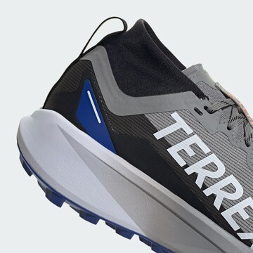 ADIDAS TERREX Lage schoen 'Agravic GTX' in Grijs