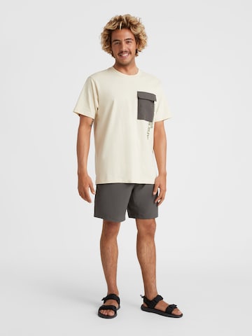 O'NEILL Regular Shorts 'Utility 17' in Grau