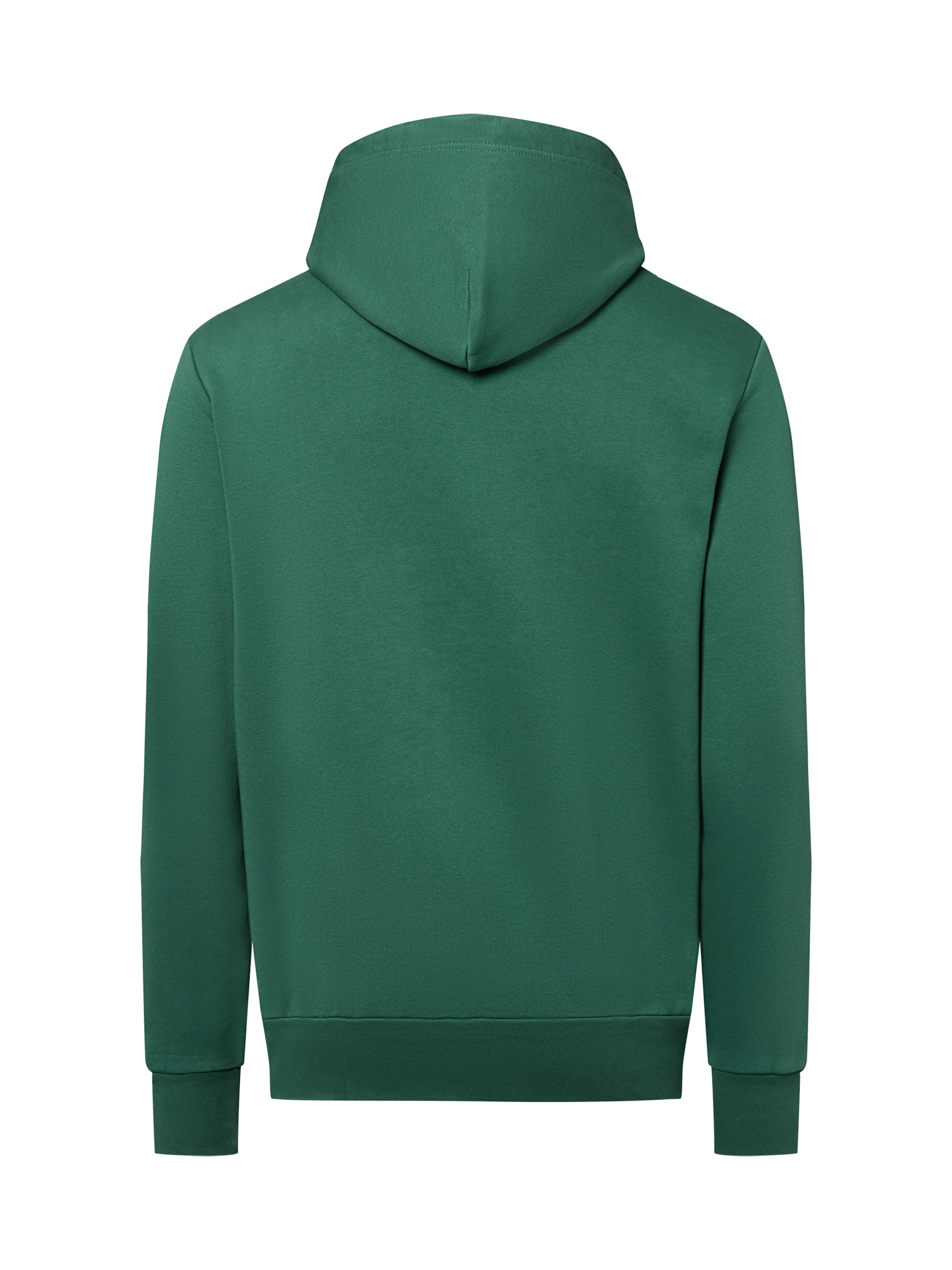 Polo Ralph Lauren Kapuzenpullover in Grün