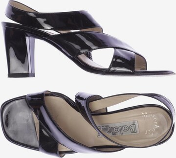 Baldinini Sandals & High-Heeled Sandals in 38,5 in Black: front