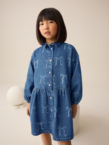 Next Dress in Blue: front