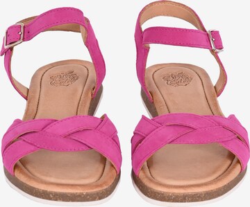 Apple of Eden Sandalen met riem 'Irina' in Roze