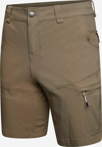 DARE2B Regular Outdoor Pants 'Tuned In ' in Brown