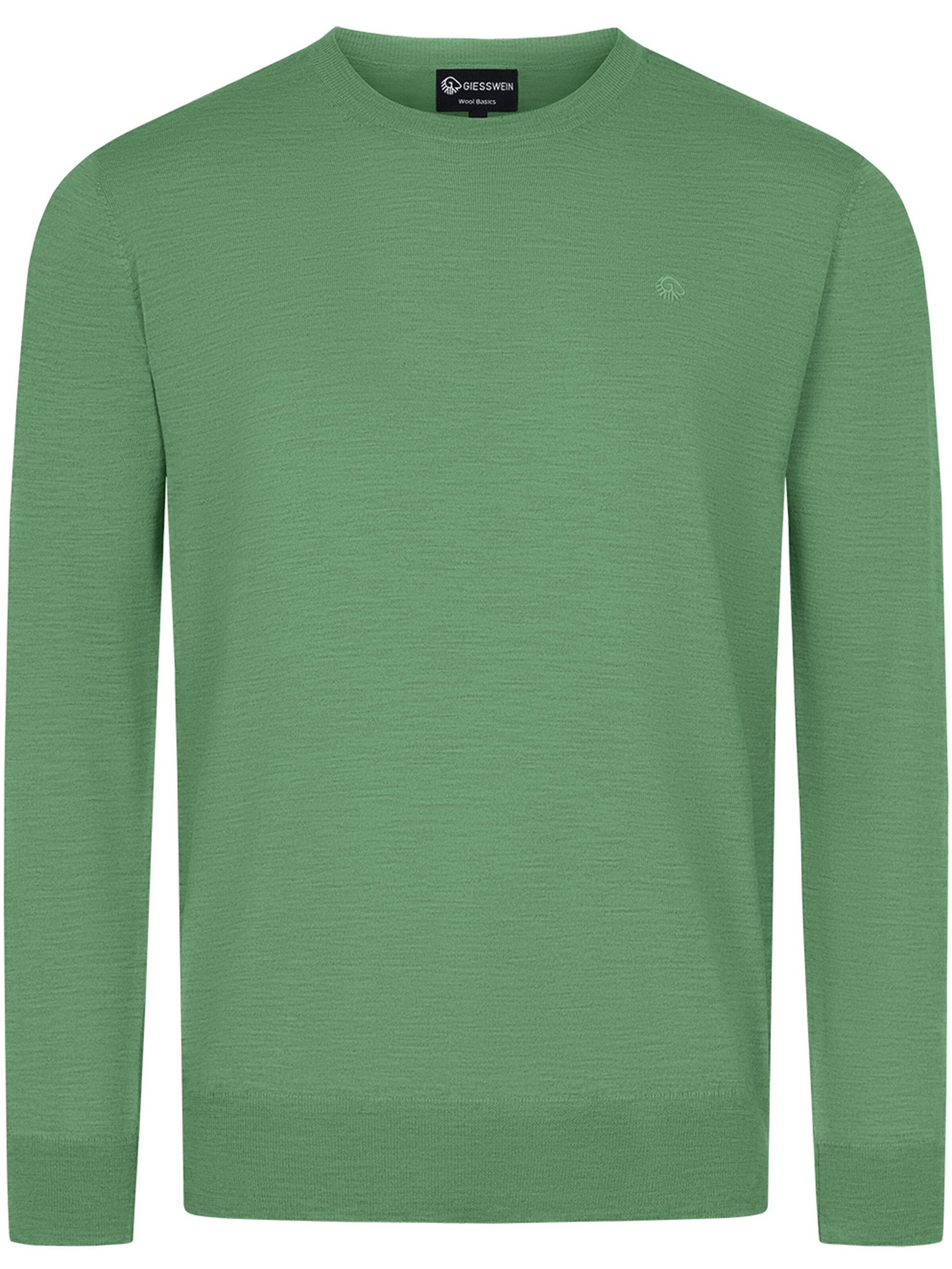 GIESSWEIN Pullover in Grün: Vorderseite