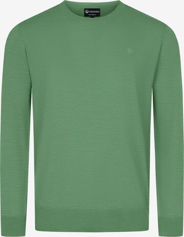 GIESSWEIN Sweater in Green: front