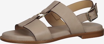 SCAPA Sandaal in Beige: voorkant