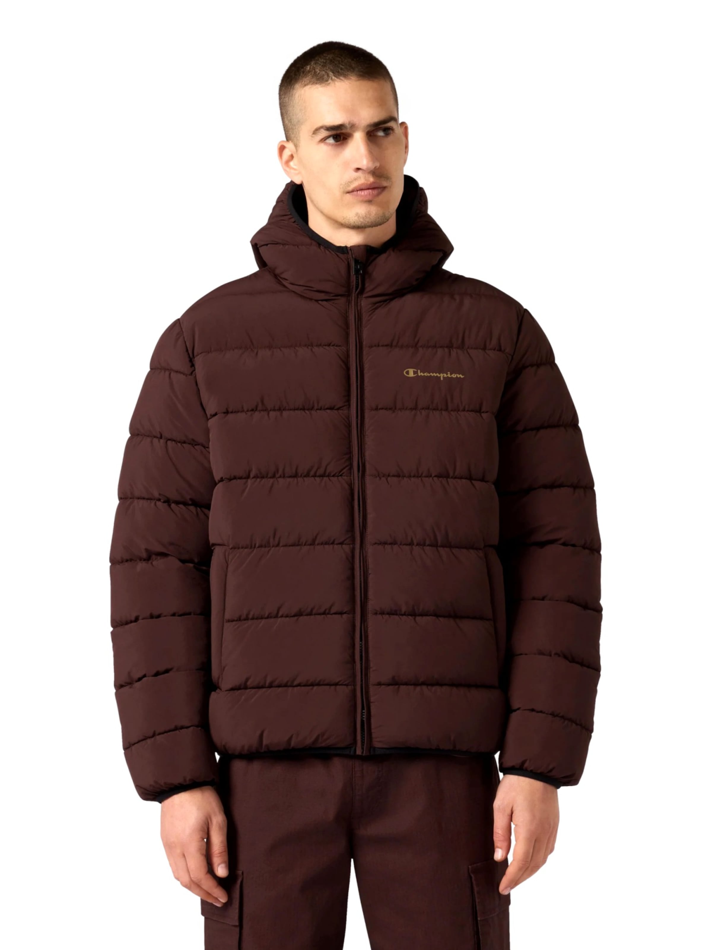 Champion Authentic Athletic Apparel Jacke in Braun: Vorderseite