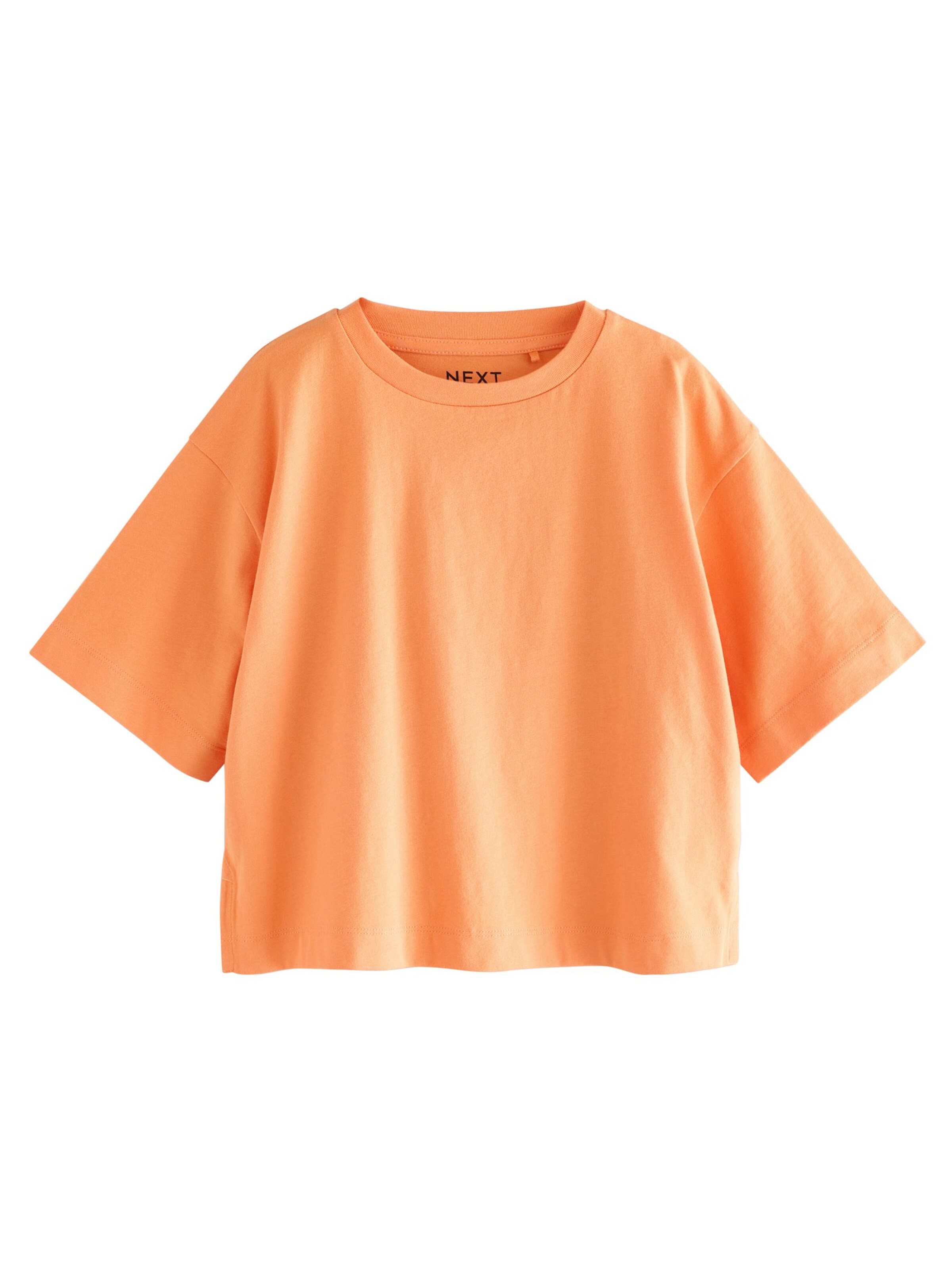 Next Shirt in Mixed colors