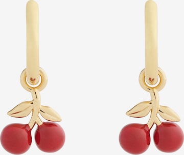 COACH Korvakoru värissä punainen: etupuoli