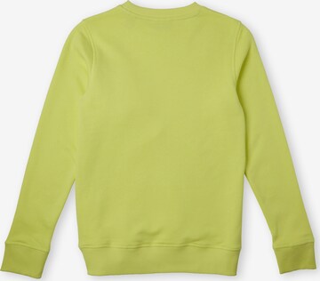 O'NEILL Sweatshirt 'All Year' in Grün