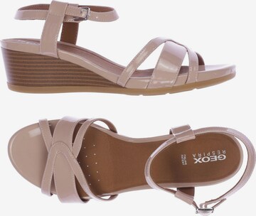 GEOX Sandals & High-Heeled Sandals in 40 in Pink: front