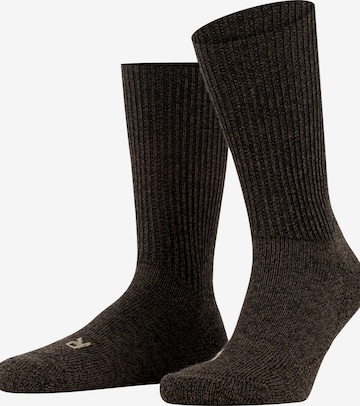 FALKE Socks 'Walkie Ergo' in Brown: front