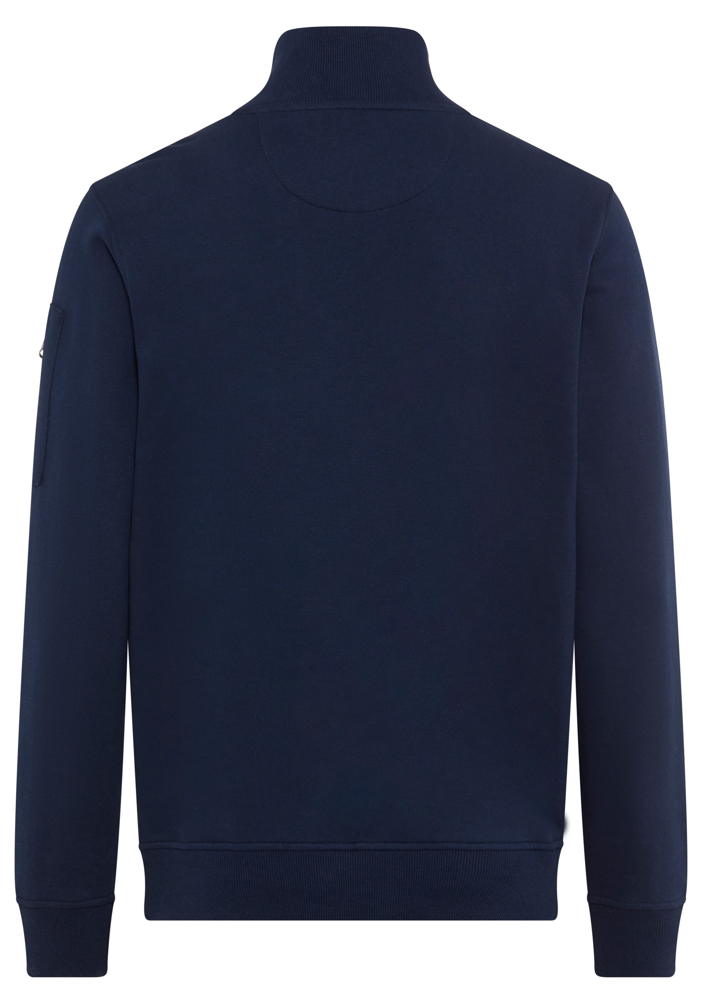 DELMAO Sweatshirt in Blau