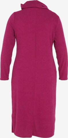 Paprika Knitted dress in Pink