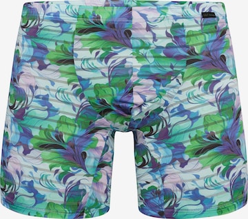 Boxers ' RED2559 Bikerpants ' Olaf Benz en mélange de couleurs : devant