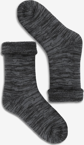 Polar Husky Socks in Grey: front