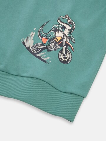 TOM TAILOR Sweatshirt in Green