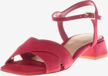 BALDININI Sandal in Red: front