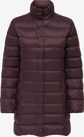 ONLY Зимно палто 'ONLRuby' в кафяво: отпред