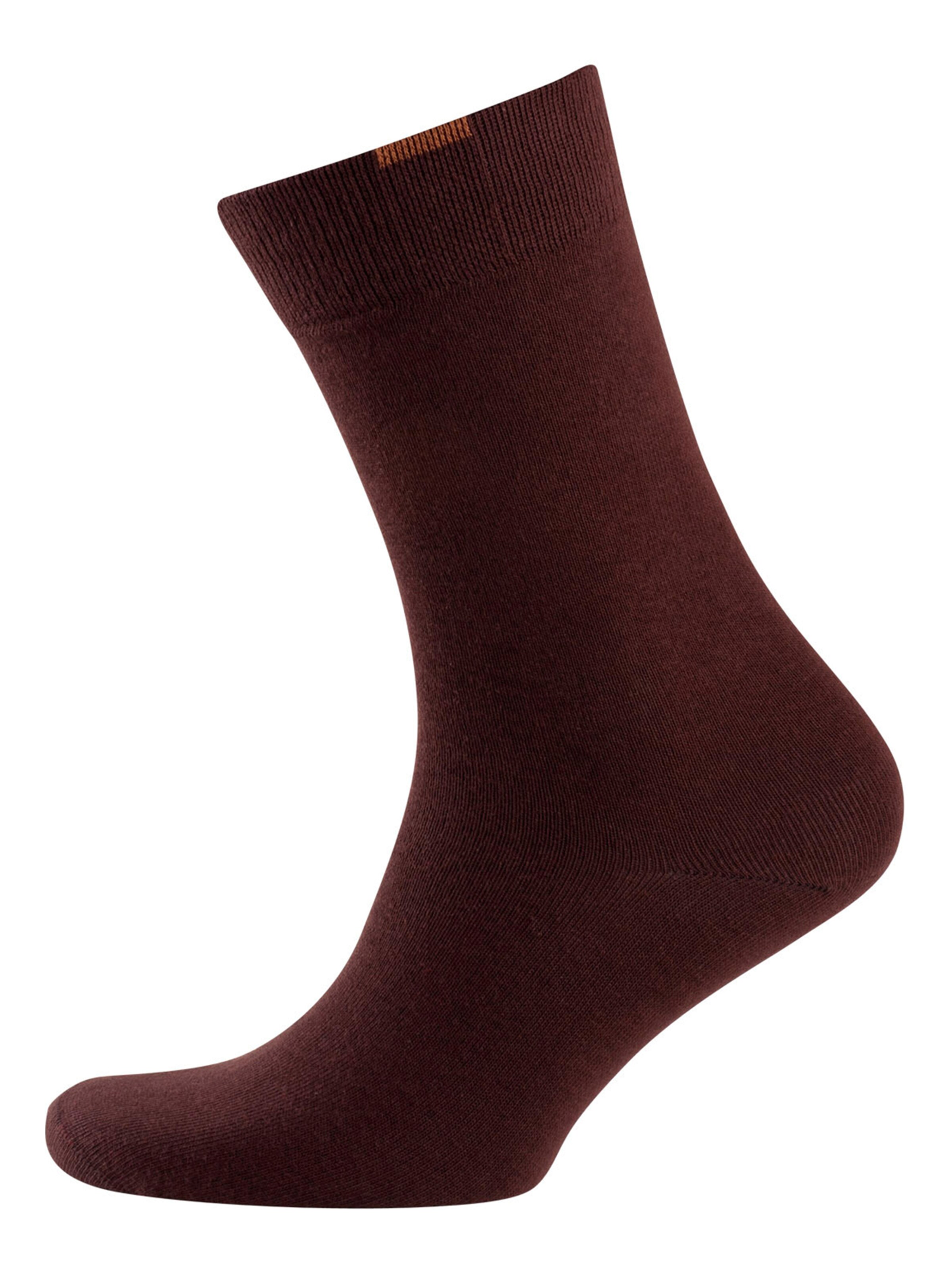 Nur Der Socks ' Passt Perfekt ' in Brown