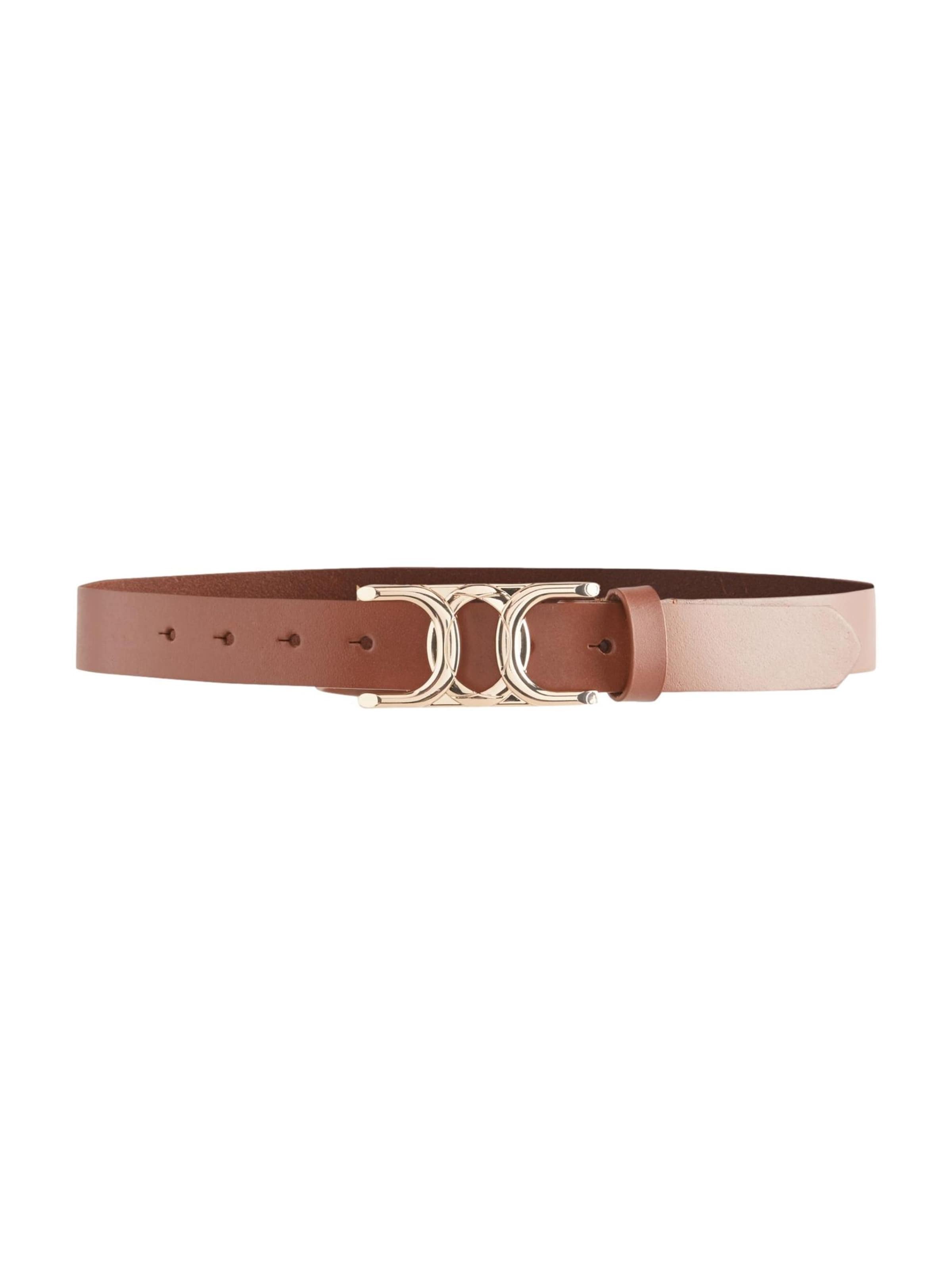 Next Belt in Brown: front