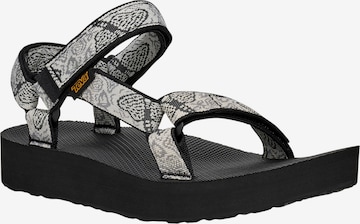 TEVA - Sandália em cinzento: frente
