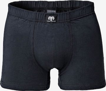 CECEBA Boxer shorts in Grey