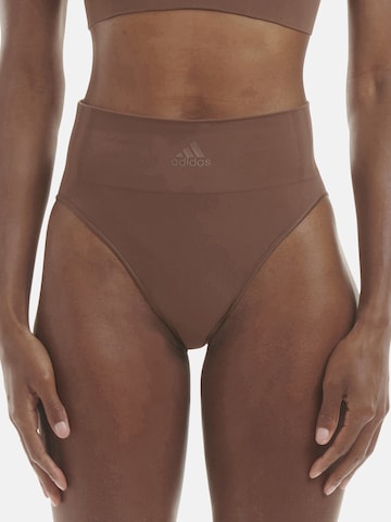 ADIDAS SPORTSWEAR Sportunterhose ' Sport Active Seamless ' in Braun: predná strana