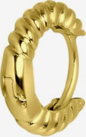 Lucardi Piercings in Gold