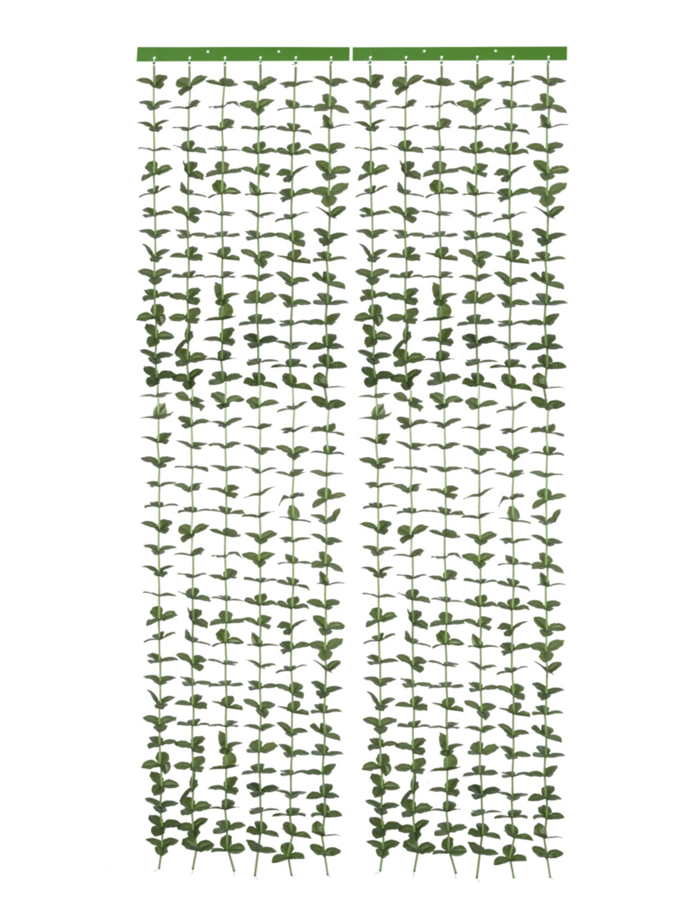 Wenko Blättervorhang 'Liane' in Grün: Vorderseite