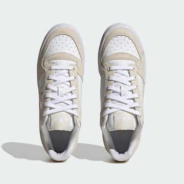 Baskets basses 'Forum Bold' ADIDAS ORIGINALS en beige