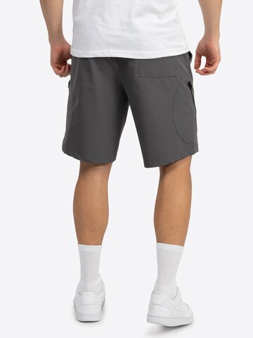 Regular Pantalon de sport 'Alresford' LONSDALE en gris