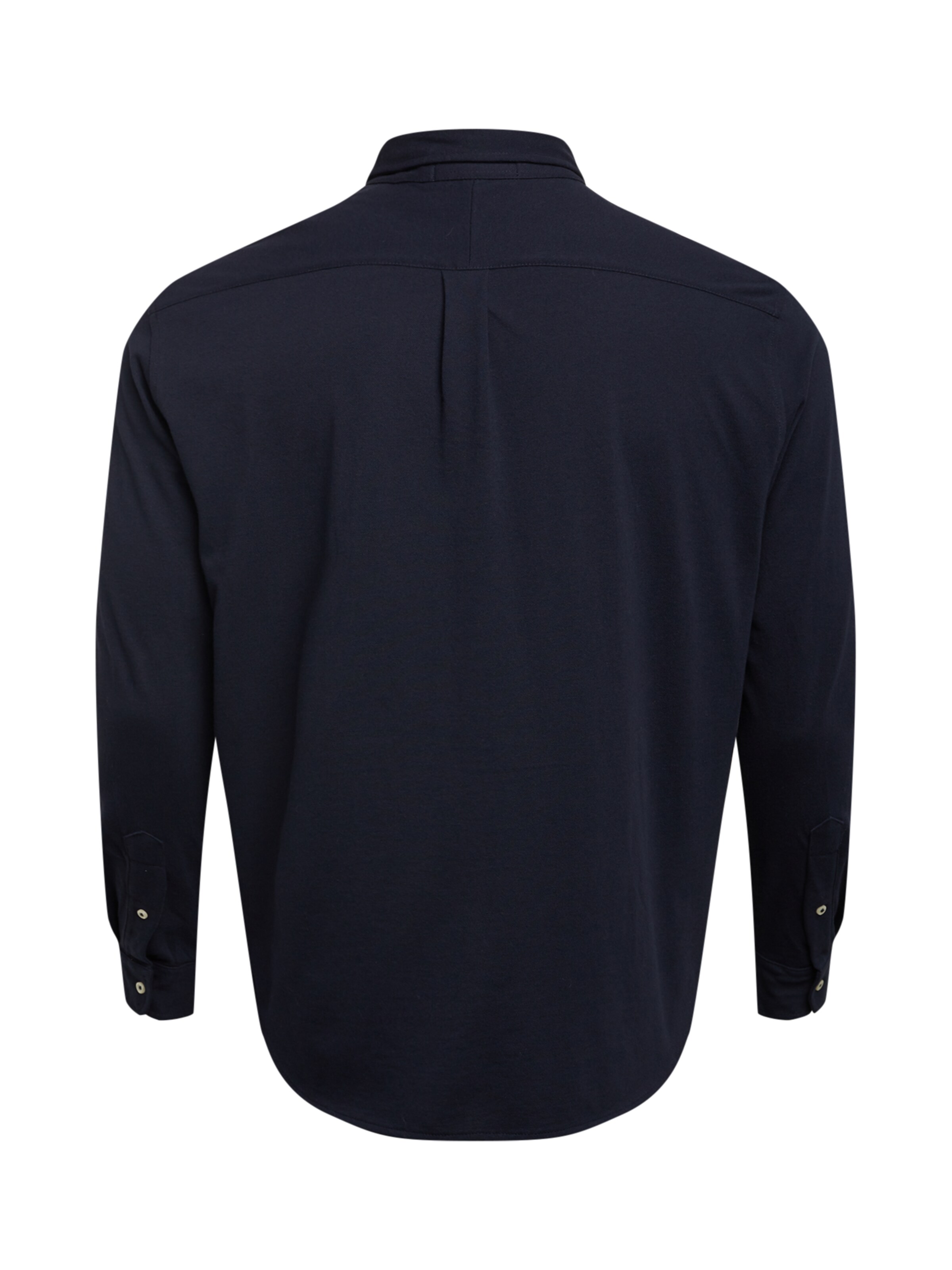 Coupe regular Chemise Polo Ralph Lauren Big & Tall en bleu