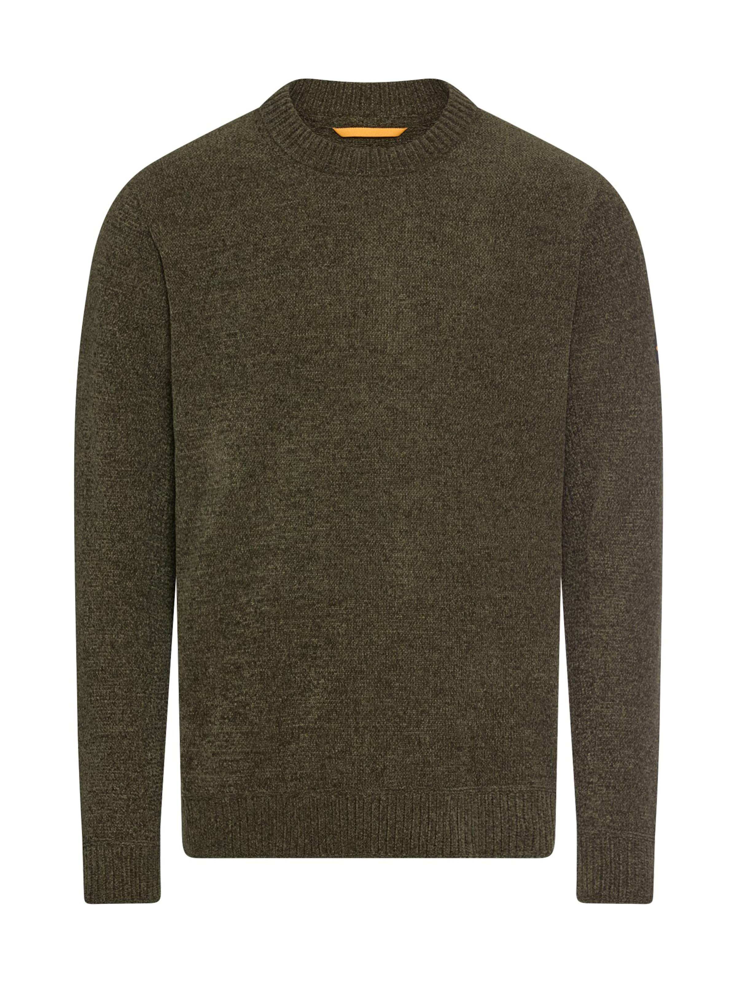 CAMEL ACTIVE Pullover in Grün: Vorderseite