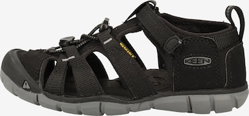 KEEN Sandalen in Zwart